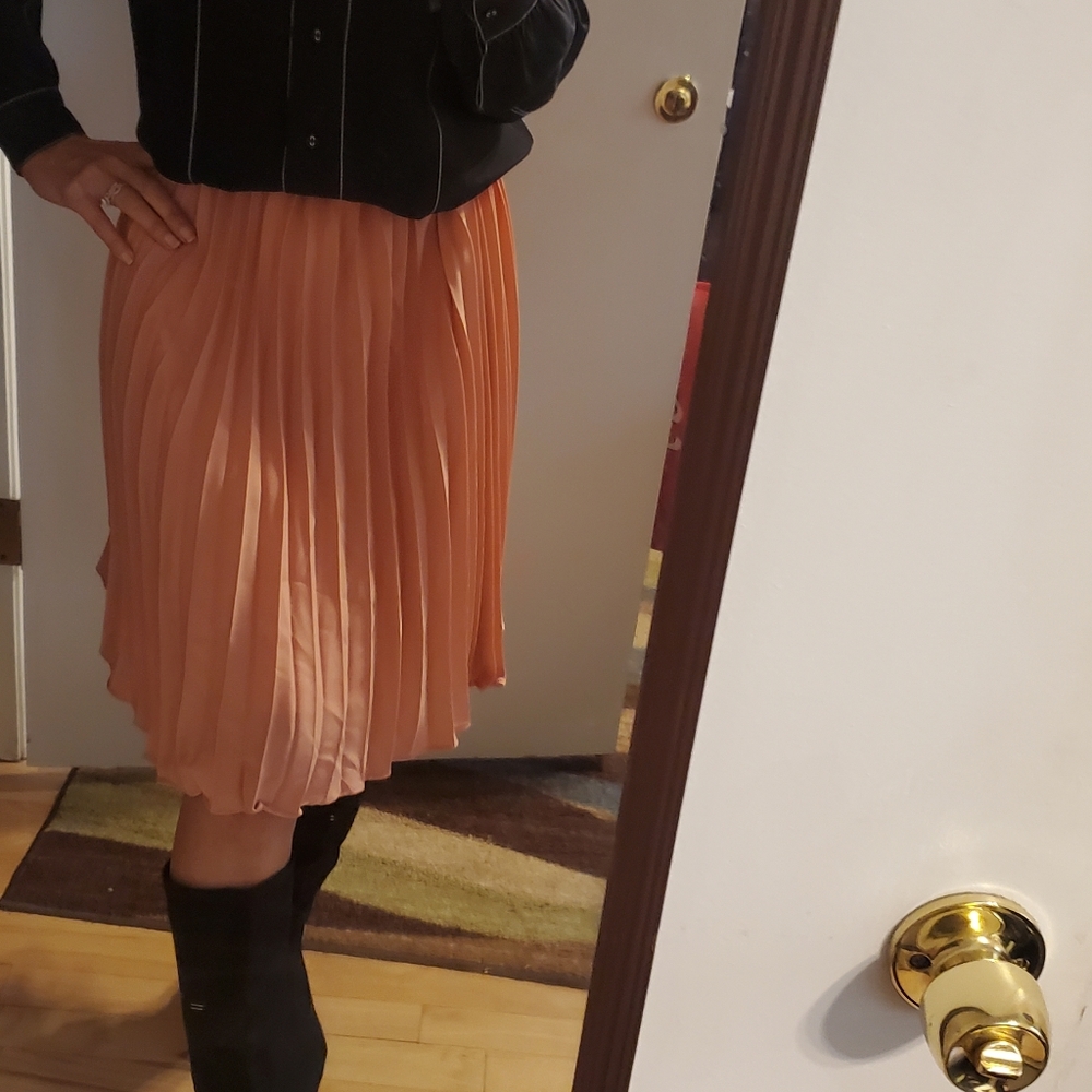 Nwt kate kasin pleated skirt